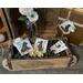A decorative wooden box with natural green botanical fillers and three animal tags. The tags are made from real birch bark. 